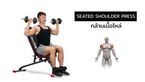 ม้านั่งยกน้ำหนัก รุ่น BULL - เครื่องออกกำลังกาย แบรนด์ IRONTEC