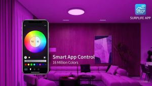 Smart WiFi Bluetooth LED ceiling light with remote control rgbcw dimming ceiling and color changing  support Alexa voice modern minimalist led three anti ceiling lights for bedroom dancing light