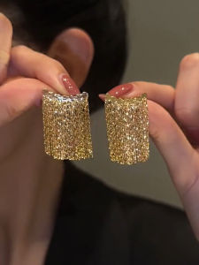 Trendy Long Tassel Earrings Luxury 925 Silver Needle Elegant Lady Exaggerated Womens Fashionable New 2025 Alloy Geometric Ear Jewelry