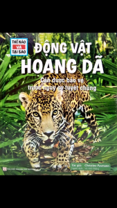 Sách - Thế Nào Và Tại Sao (Tự Chọn Chủ Để)