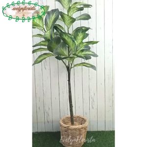 Pohon Artificial Bahagia Hijau X3 T140 Latex Cover Rotan Hiasan Caffe