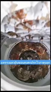 คุณภาพยี่ปูน HANNAH ล้างถังซักผ้า ผงล้างเครื่องซักผ้า น้ำยาล้างเครื่องซักผ้า ผงทำความสะอาดเครื่องซักผ้า น้ำยาทำความสะอาดเครื่องซักผ้า เพราะไม่มีสารตกค้าง ฆ่าเชื้อสูงถึง99%