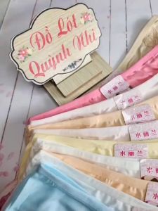Combo 10 Quần Lót Nữ Cotton Mịn Co Giản Thoáng Mát Thấm Hút Mồ Hôi Size Từ 50-60 Kg [Hoa Hồng 3265] - Đồ Lót Quỳnh Nhi