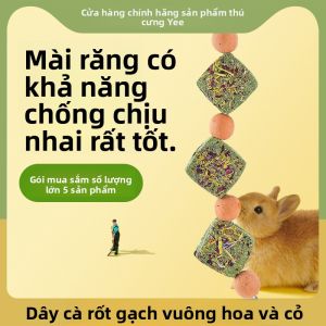 Yee | Que Nhấm & Vòng Cỏ cho Thú Cưng Nhỏ