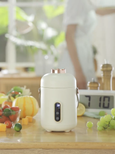 8 In 1 Mini Slow Cooker 900ML 500W Portable Electric Health Pot For Rice Congee Soup Baby Stew Ready Stock SG Local
