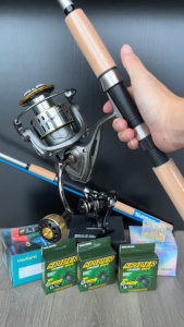 DAIWA Fishing rod set joran pancing 1 Set Fishing Rod Spinning Reel Fishing Reel Joran Jigging Rod Full Set