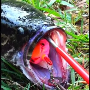 ชุด 2 ชิ้น ที่ปลดเหยื่อ ปลอม ปลา ที่ปลด ราคาที่สนับสนุน 4,990 บาท