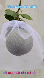 [ 30x35cm ] 100 CÁI TÚI LƯỚI TỐT BAO BỌC TRÁI BƯỞI  DƯA LƯỚI CHỐNG RUỒI VÀNG HIỆU QUẢ