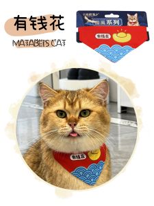 Pets Saliva Towel National Style Series Ragdoll Cat Scarf Scarf Decorations Accessories Rich Bib Triangular Binder