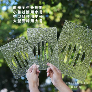 Platycerium Board Acrylic Backboard Waxplant Dendrobe Sub-Monkey Biqi Platycerium Planting Board Wall Hanging Planting Board