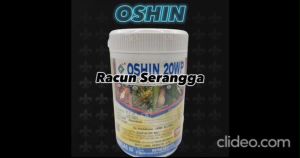 Oshin 20WP 250g Dinotefuran 20% Effective Plant Protection Kills Whiteflies Leaf Beetles Caterpillars