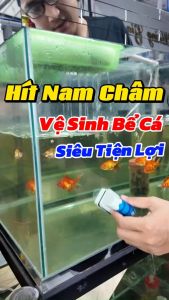 Hít Chà Hồ Nam Châm Vệ Sinh Cạo Rêu Cho Bể Cá Cảnh Đủ Size