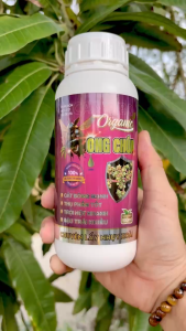 Phân Bón Hữu Cơ BIO DELTA CANXIBO Organic Hiệu ONG CHÚA – Chuyên Lấy Nhụy Xoài – Cất Bông Mạnh Thụ Phấn Tốt Trội Hột Nhanh Đậu Trái Nhiều (Chai 500ml)