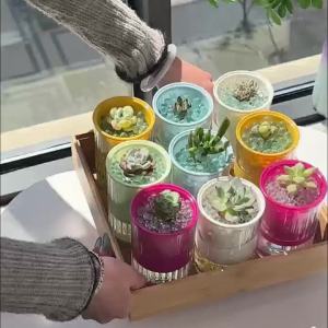 1pc Boho Style Hydroponic Flowerpot Automatic Water Absorbing Cylinder Vase for Succulents and Green Plants Transparent Plasti