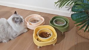 SKISOPGO Pet Glass Bowl Elevated Cat Dog Food Water Bowl Detachable Tilted Bowl Wooden Base Pet Bowl