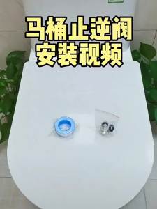Anti-Backflow Check Valve 4 分
