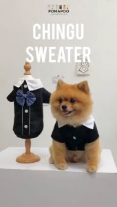 Chingu Sweater - Baju Kucing dan Baju Anjing POMAPOO Premium Berkualitas