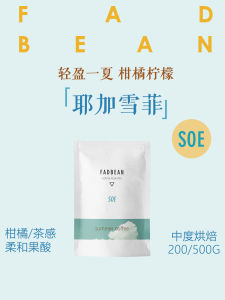 Yi Jia Xue Fei SOE Medium Roast Single Origin Premium Italian Espresso Coffee Beans Neutral Flavor 500g Bag from Ethiopia