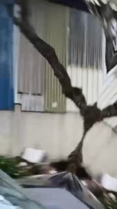 Proton 5D Front Rear Logo Emblem Logo (CHROME/MATTE BLACK/CARBON/UV BLACK) For Proton WAJA / BLM / FLX / INSPIRA / SAVVY/ EXORA / WIRA / ARENA / PERSONA / GEN2 / SATRIA / SAGA2(LMST) / SATRIA NEO / PERDANA / PUTRA / ISWARA / PREVE / INSPIRA