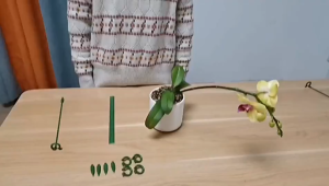 10pcs Plastic Plant Supports Flower Stand Reusable Protection Fixing Tool Gardening Supplies For Vegetable Holder Bracke