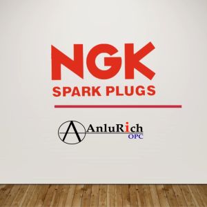 NGK Platinum Spark Plug (4pcs) for Toyota VIOS/YARIS/COROLLA/ALTIS/BB | BKR5E-GP