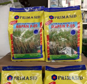 PROMO! 1 KG BENIH BIBIT PADI PRIMASID HIBRIDA F-1 MAPAN P 05 KUALITAS DISINI ASLI ORIGINAL