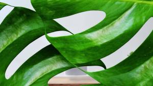 MeeGoo Air Purifier Low Noise Home Remove Formaldehyde Removal Deodorization Negative Ion Air Purifier with HEPA Filter