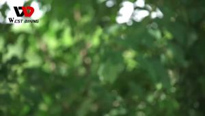 West Biking | Giá Đỡ Điện Thoại Xe Đạp WEST BIKING 7 Màn Hình Cảm Ứng TPU Chống Nước Túi Khung Xe Đạp Phía Trước Có Phản Quang Dung Tích Lớn Dành Cho Xe Đạp Địa Hình MTB
