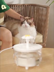 1200ml Electric Mute Pet Drink Bowl USB Pet Drinking Dispenser Drinker Cats Water Filter Automatic Cat Drink Bowl Filter