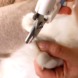 KÌM CẮT MÓNG CHÓ MÈO - KỀM CẮT MÓNG CHO THÚ CƯNG - Loại 1 kềm chắc chắn và sắc bén - Medipet