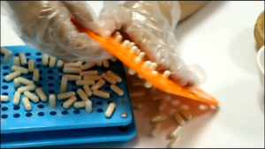 ดีที่สุด - เบอร์ 0 รุ่นล่าสุดปี 2025 เครื่องบรรจุยาแคปซูล 100 เม็ด สีฟ้า บรรจุแคปซูลเสร็จไว