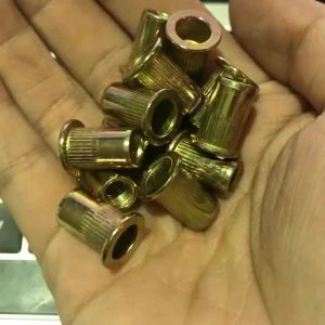 30 Pieces M3 M4 M5 M6 M8 M10 M12 Blind Rivet Nut Flat Head Threaded Rivet Insert Nut Cover Rivet Nut Galvanized Carbon Steel