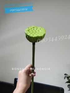 Hoa sen giả bách diệp quan âm bông sen lụa đẹp cao cấp cao 75cm