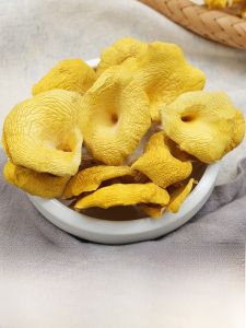  Chicken Oil Fungus Dried Goods 500g Yunnan Specialty Wild Mushroom Cuisine from Kunming Health Food Mushroom Types