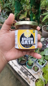 Jing Bagon Gata Sweet (Bagoong sa gata)