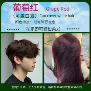 Natural Plant-Based Hair Dye Black Male Home Use Self-Coloring Grey Covering Pure Black Hair Gloss Stick-On Combs Included