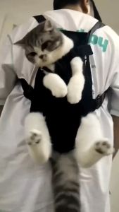 BOB PET Pet Dog Carrier Front Cat Carrier Pet Carrier Breathable Bag Adjustable Carrier Outdoor Backpack Outdoor Travel