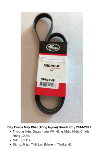 Gates Micro-V Belt 5PK1145 for Honda City 2014-2021 - Genuine Imported Motorcycle Drive Belt