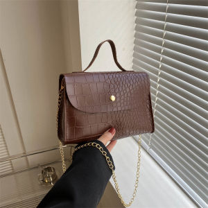 Advanced Texture Special-Interest Design Retro Small Handbags Womens 2023 New Arrival Trendy Versatile Chain Shoulder Messenger Bag