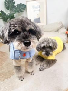 Thickened Fleece Dog Coat Cotton Clothes Windproof Warm for Bichon Teddy Pomeranian Pet Clothing Autumn Winter Pet Supplies