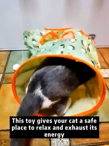 Pet Cat Tunnel Toy Bag Foldable Tube For Kitten Dog Cat Training Chasing Toy Mouse Interactive Toys