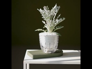 Self Watering Plant PotClear Double Layer Plastic Hydroponic Flower Pot for Indoor Plants Succulent