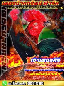ไข่ไก่ชนพม่าตีเชิงสายเลือดโกเซ้ม100% แสนคีรี เกิดจาก มนต์ดำ ค่าตัว 5 ล้านบาท + แม่พันธุ์เบอร์ 1 โกวเซ้มฟาร์ม ค่าตัว 1.5 ล้านบาท+(แม่แท้เจ้ารอนนี่)ราคาฟองละ120(พิเศษช่วงโปรซื้อ3แถม1/ซื้อ5แถม2)