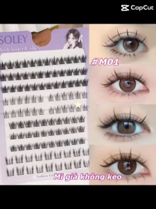 [ Hộp 10 hàng ] Mi giả sợi rời không keo sẵn SOLEY Pro Cluster Lashes - Hộp tím
