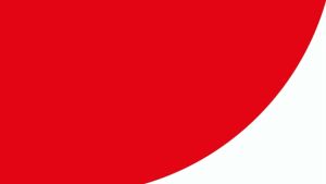 Das Glue White Liquid Adhesive 250g for Das Air-dry Modelling Clay