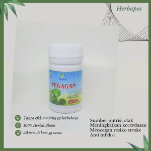 EZA Herba Ekstrak Daun Pegagan 60kp | sumber nutrisi otak | pegagan eza