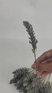 Bunga Japanese Skimmia & Lavender Grain Spike Imitasi Import untuk Dekorasi