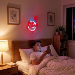Animation Neon Sign Led Wall Art Decor Used Of Bedroom Game Room Home Bar Party Man Cave Wall Lamp BoyS Birthday Gift.