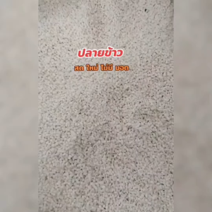 ปลายข้าว ข้าวปลายหัก1กิโล ปลายข้าวอาหารสัตว์ ปลายข้าวใหม่