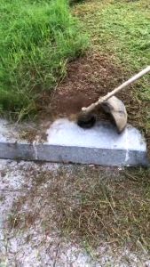 10PCS Metal Grass String Trimmer Head Replacement Saw Blades Lawn Mower Fittings Lawn Mower Saw Blade